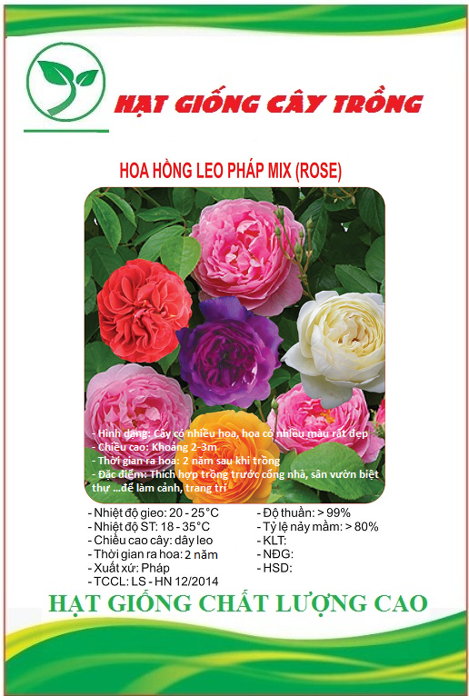 Hạt giống hoa hồng leo pháp nhiều màu ct243 - gói 10 hạt