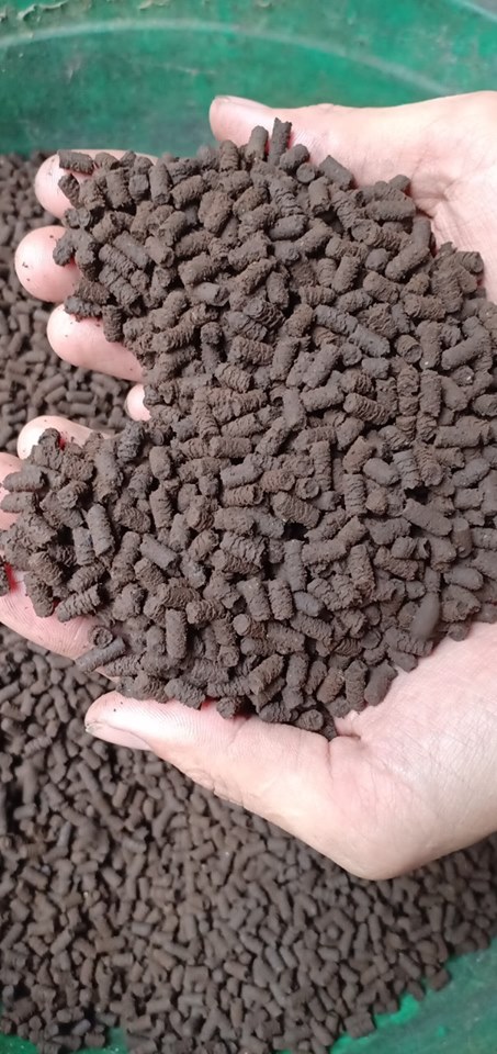 Phân Trùng Quế Viên Nén Cao Cấp Điền Gia