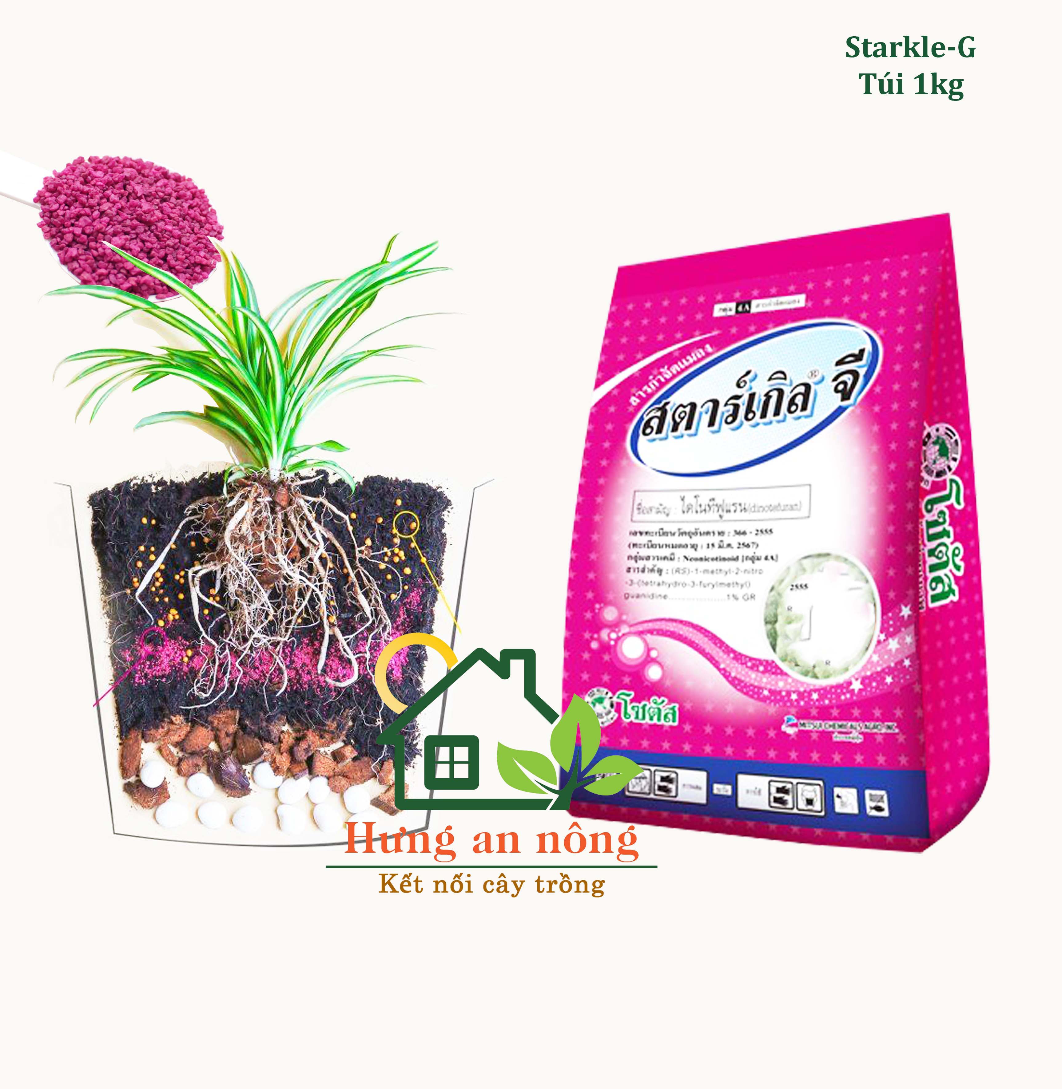 Starkle-G tím lưu dẫn trừ các bọ hàng Thailand túi 1kg ( xem trong mô tả  )