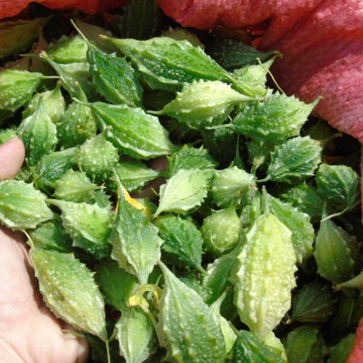 [HCM]1kg Khổ qua rừng - Khổ qua gai
