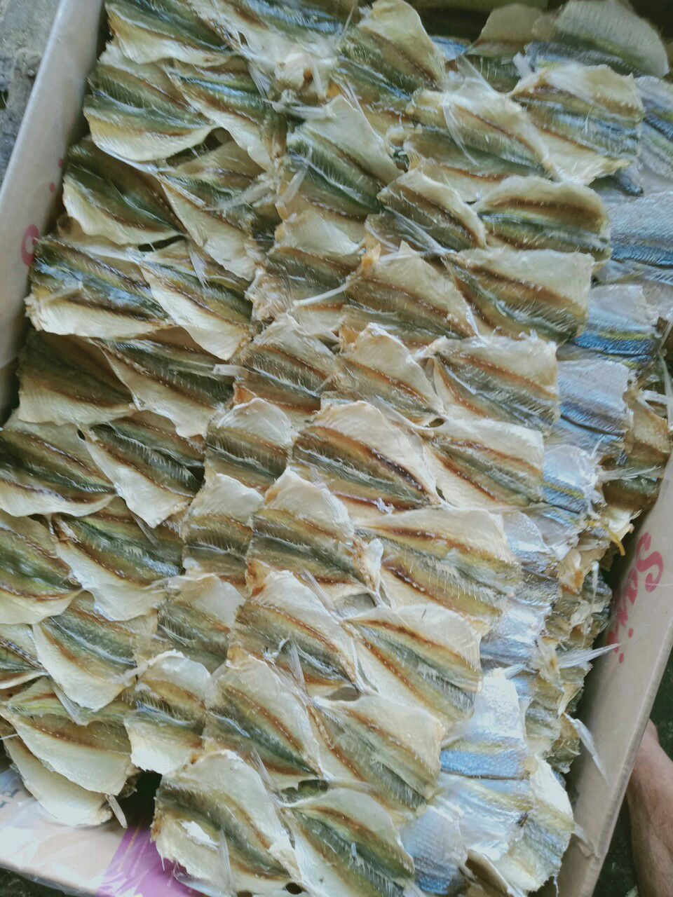 khô cá ngân chỉ xếp 1kg