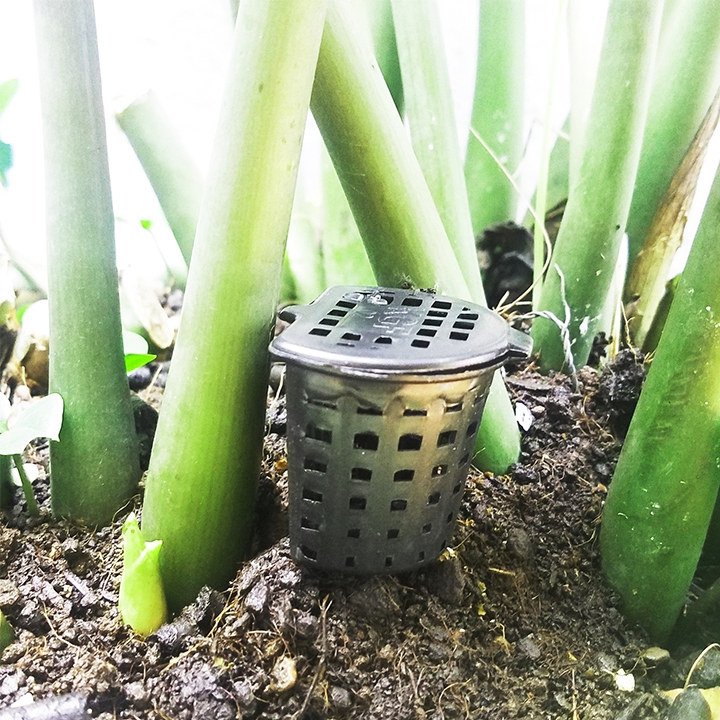 5 Cái giỏ đựng phân tan chậm - Rọ đựng phân cho hoa lan cây kiểng bonsai