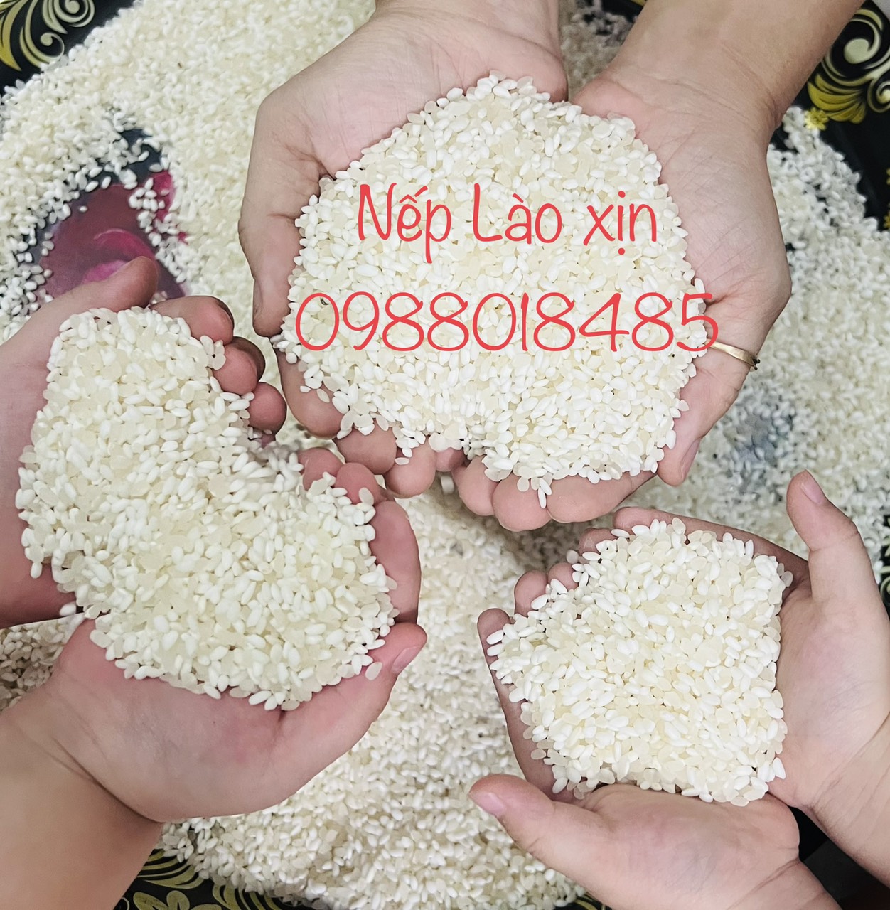 Nếp Lào đặc biệt 1kg