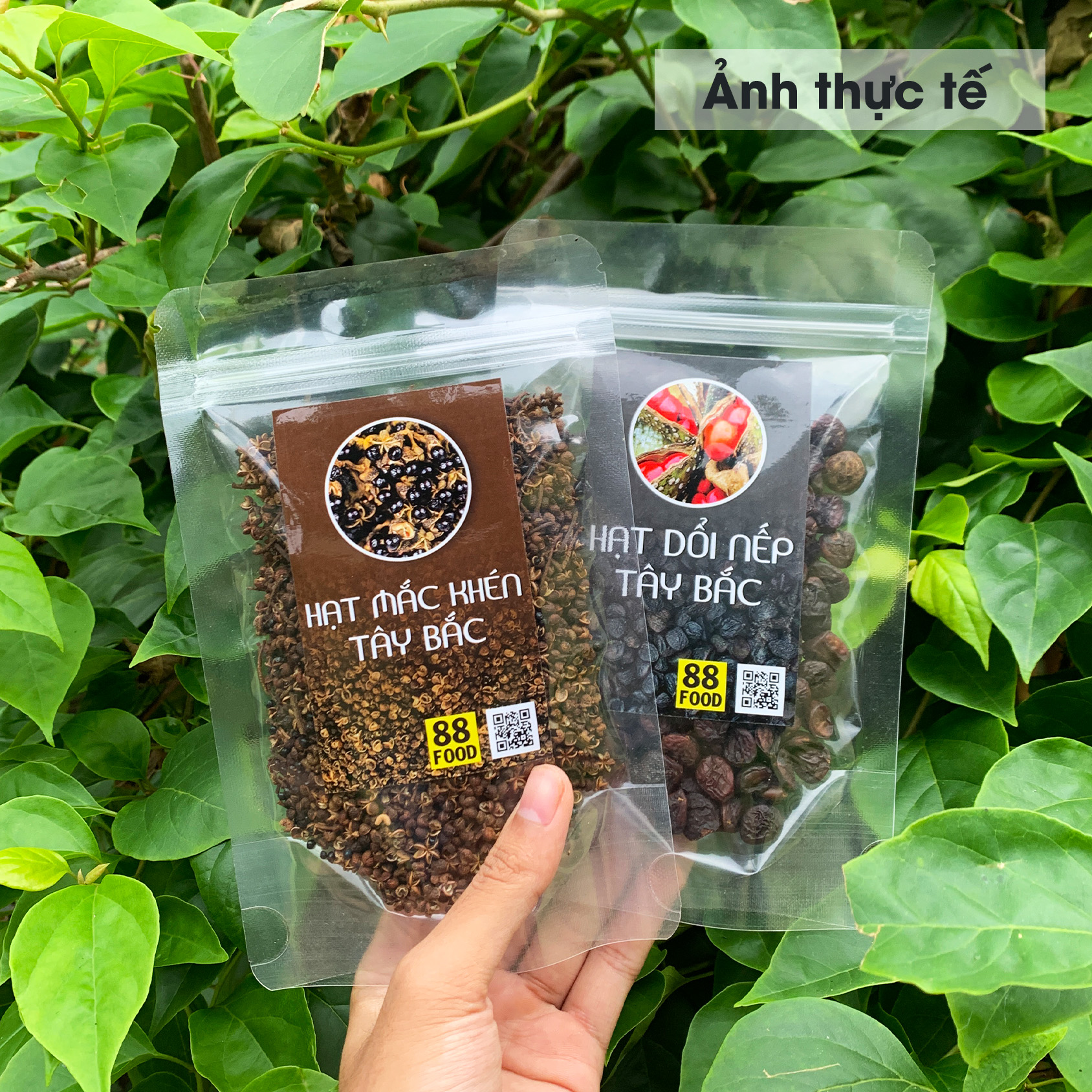Combo Siêu Rẻ: 100 Hạt Dổi + 100g Mắc Khén (Chính Gốc Tây Bắc)