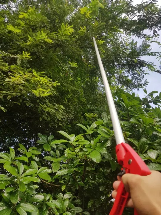 Kéo cắt cành trên cao 4 mét