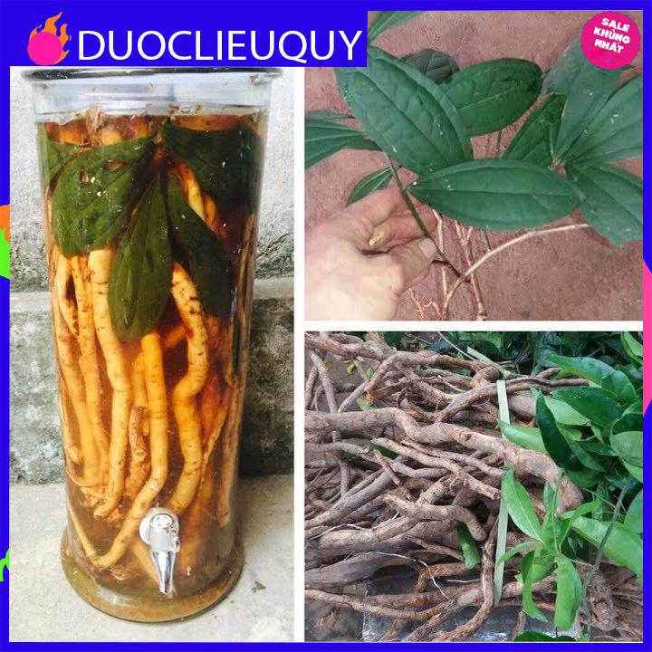 sâm xuyên đá tươi 1kg