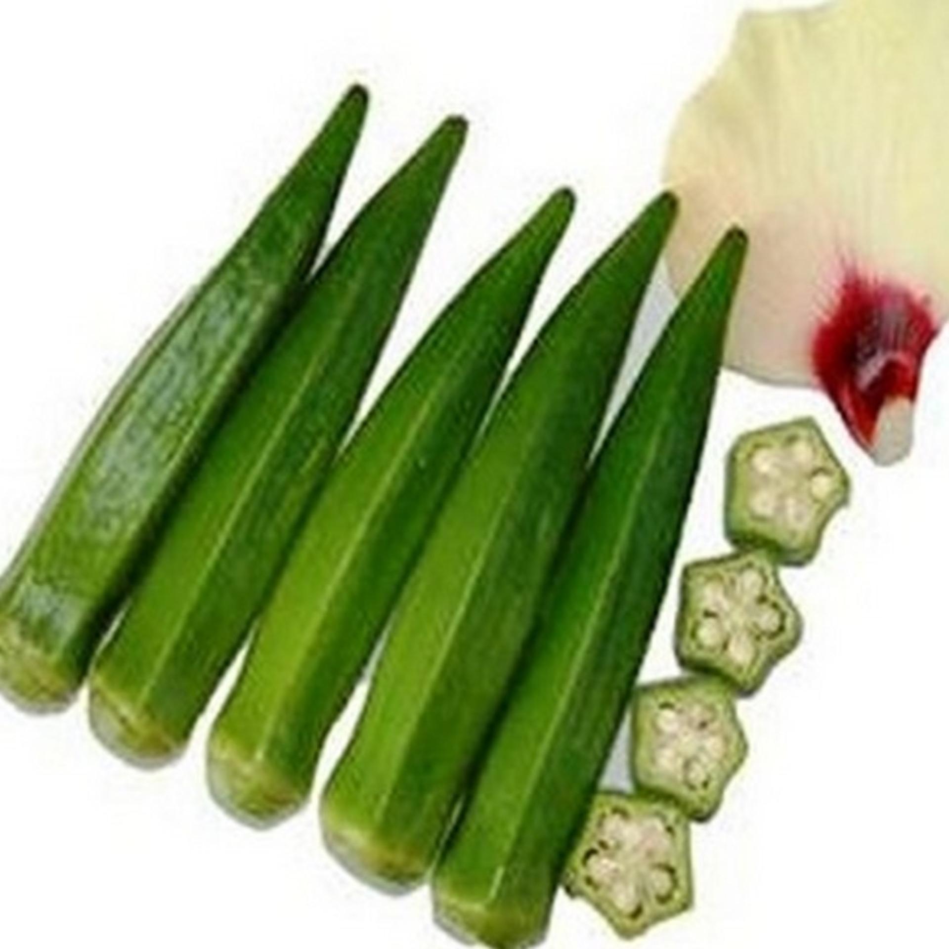 20g Hạt giống Đậu bắp Cao sản (tặng Kích nẩy mầm, Hướng dẫn ươm)