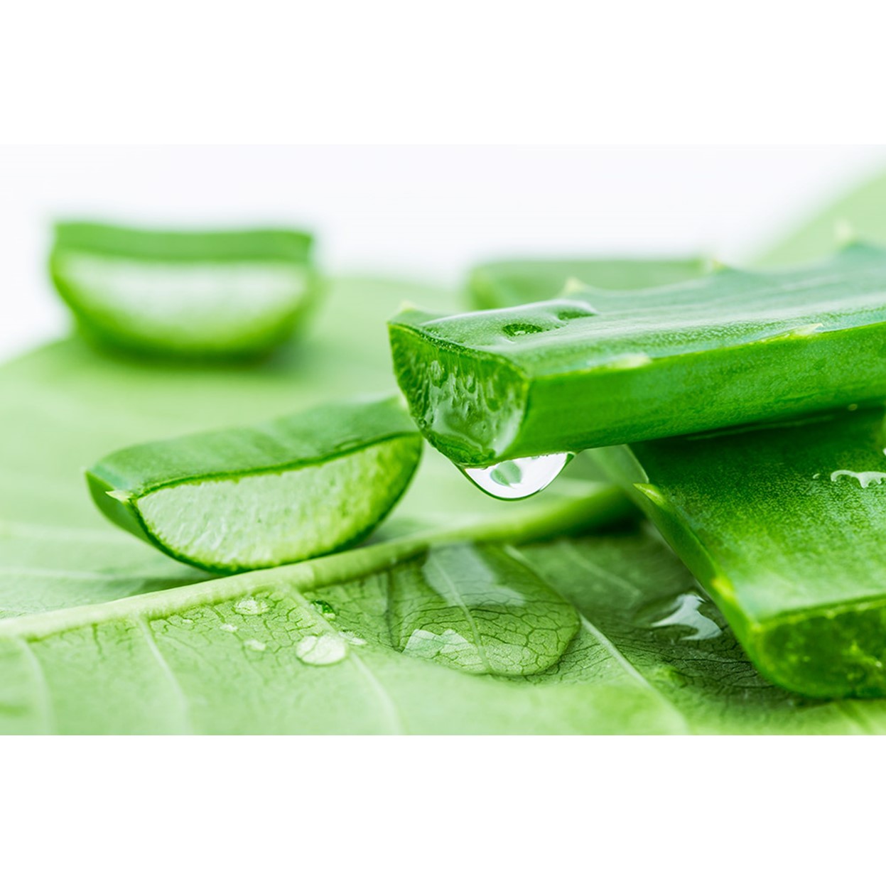 Sữa Tẩy Trang Aloevera Thorakao 140g
