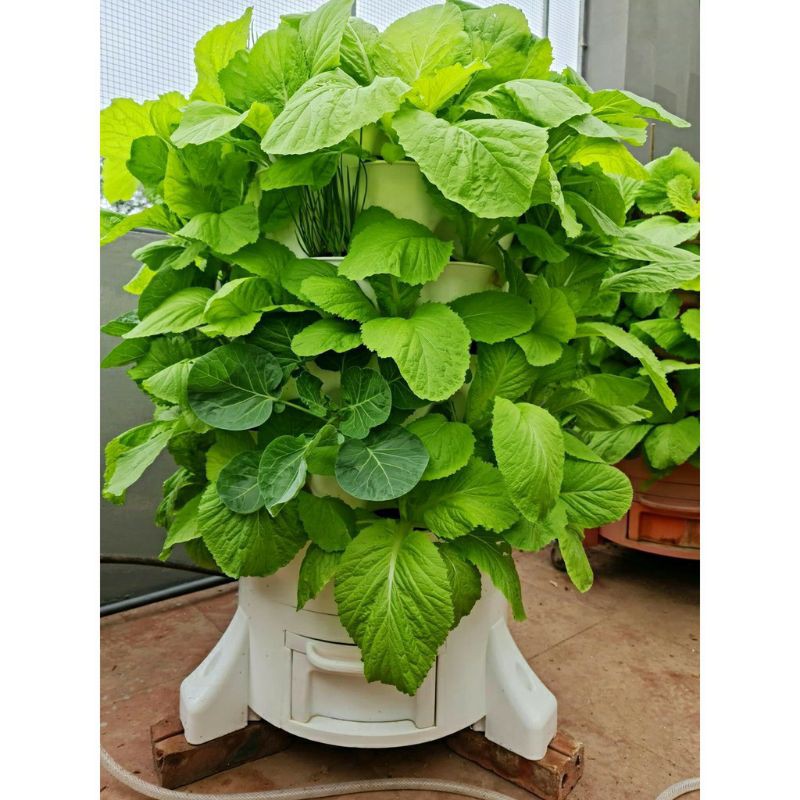 2Kg Phân Trùn Quế Nguyên Chất _