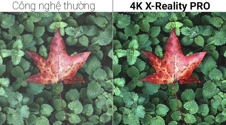 Tivi Sony 4K 70 inch KD-70X8300F