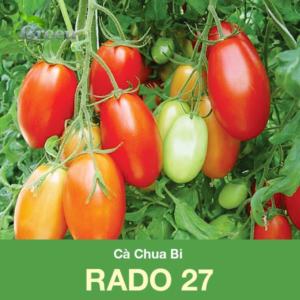 Hạt Giống Cà Chua Bi Lai F1 Trái Dài Chịu Nhiệt Tốt (~ 110 Hạt)
