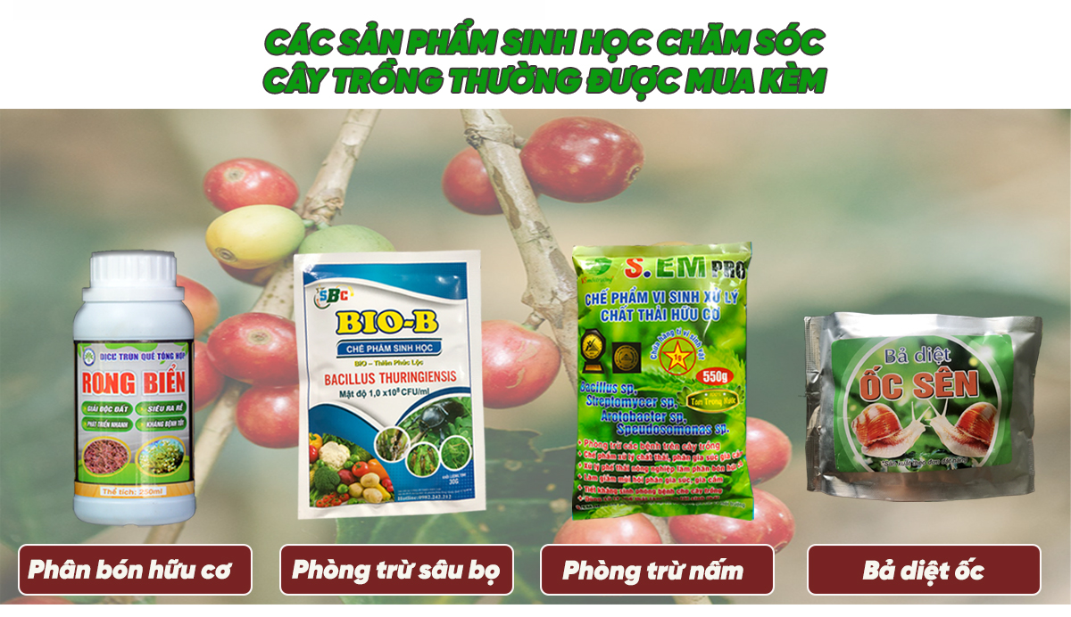 Phân bón hữu cơ dịch trùn quế rong biển bón lá bón gốc siêu rễ cho rau củ quả sạch 1 lít - PhuNongFarm