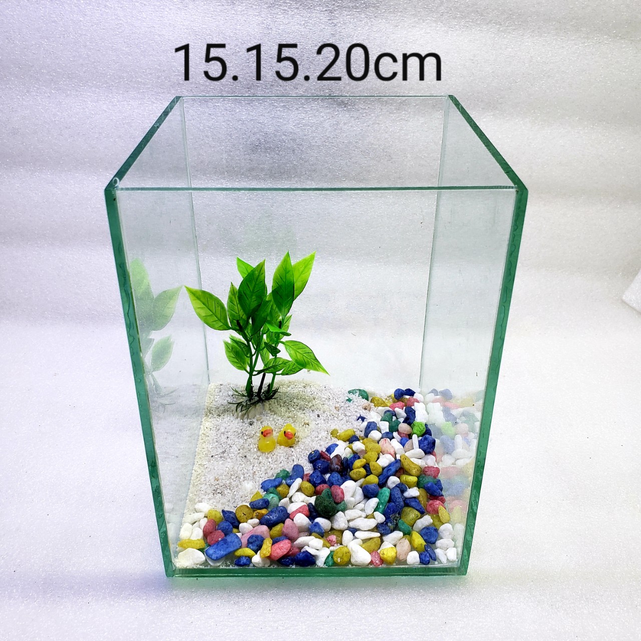 bể cá mini - bể cá mini để bàn cao20cm