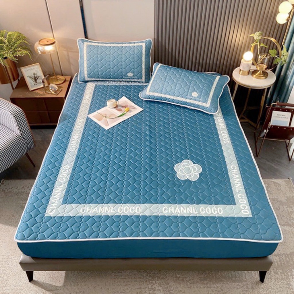 [ TẶNG KÈM 2 VỎ GỐI ] CHIẾU ĐIỀU HOÀ CAO SU NON 5D BO CHUN -