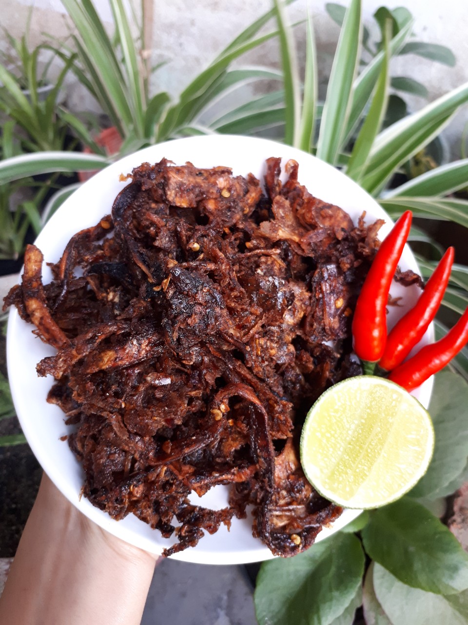 ĐẦU MỰC TẨM