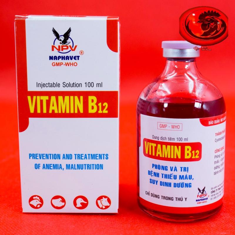 VITAMIN B12 100ML cho gà đá