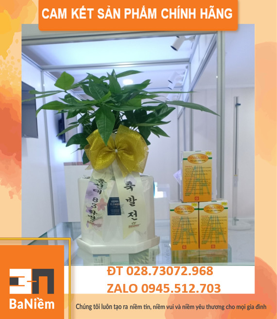 DẦU GẤc VINAGA DHA