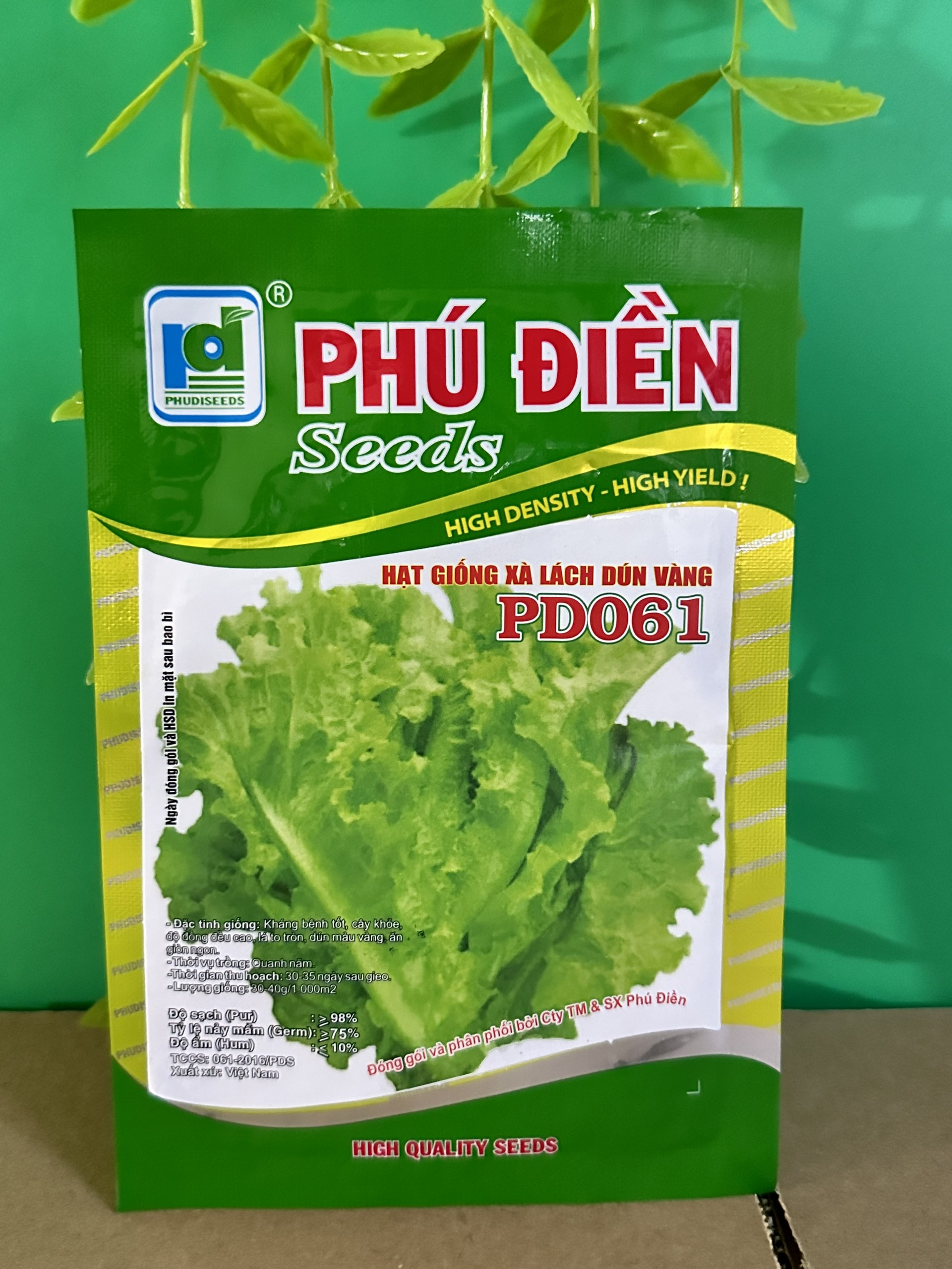 Hạt giống rau xà lách Dún Vàng PD061