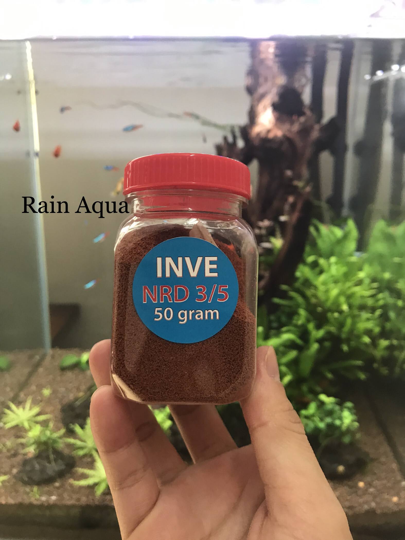 Thức Ăn Cá Cám Thái Inve 3/5