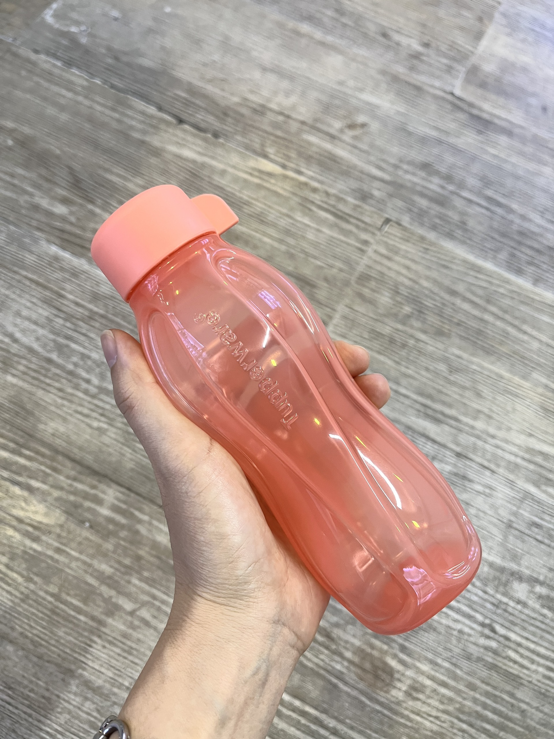 Bình nước Eco bottle 310 ml