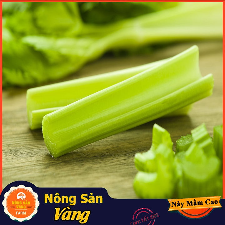 Tree seeds celery seeds easy to grow, a variety of nutrition, good for health is very much family ưa gallantry -shallow gold