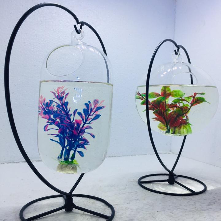 Bể cá mini để bàn combo 2 bể