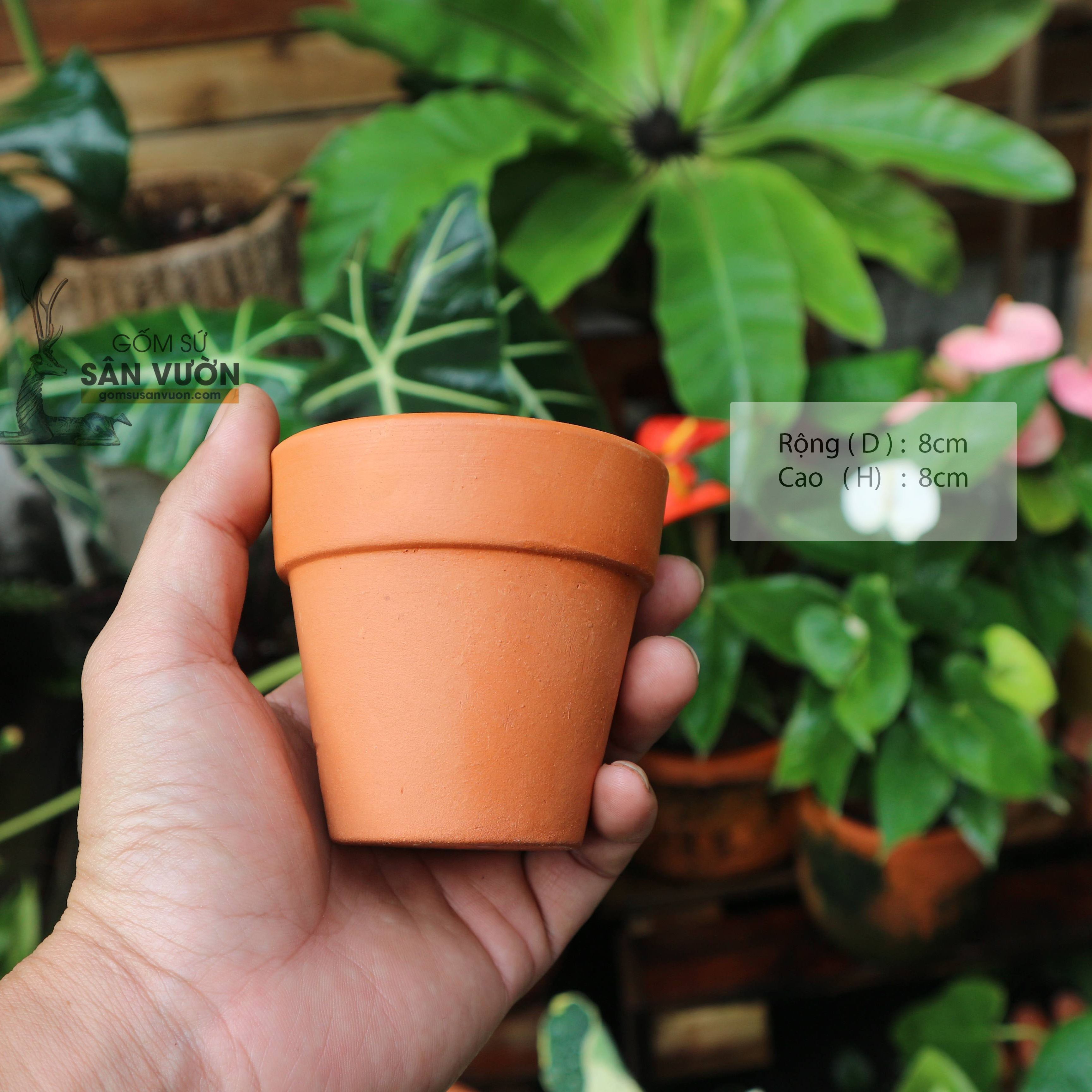 Combo 6 Chậu Gốm Đất Nung Ly Gờ Cao 8 cm - Gốm Sứ Sân Vườn