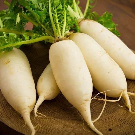 Combo 4 gói hạt giống rau lấy củ dễ trồng- VTNT