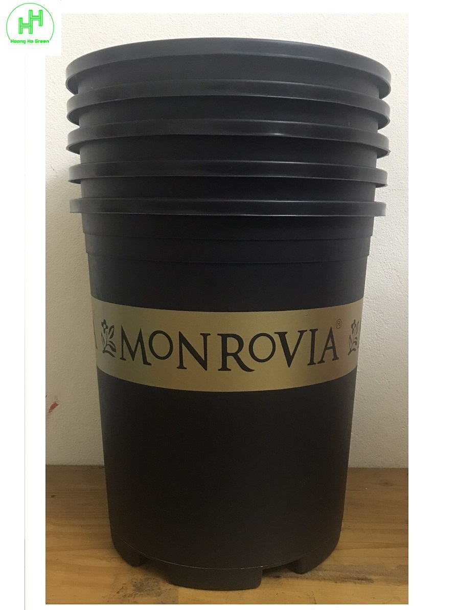 5 Chậu MONROVIA CH Garden 5Gal