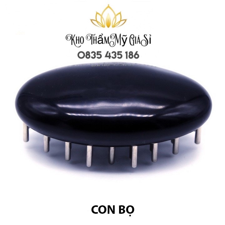 [HCM]CON BỌ LỚN DIỆN CHẨN