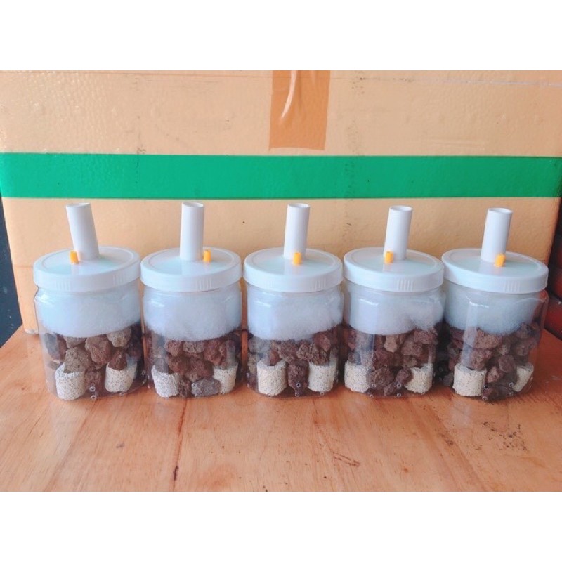 [HCM]Lọc Bio Vi Sinh Tự Chế (nham thạch sứ lỗ bông lọc)