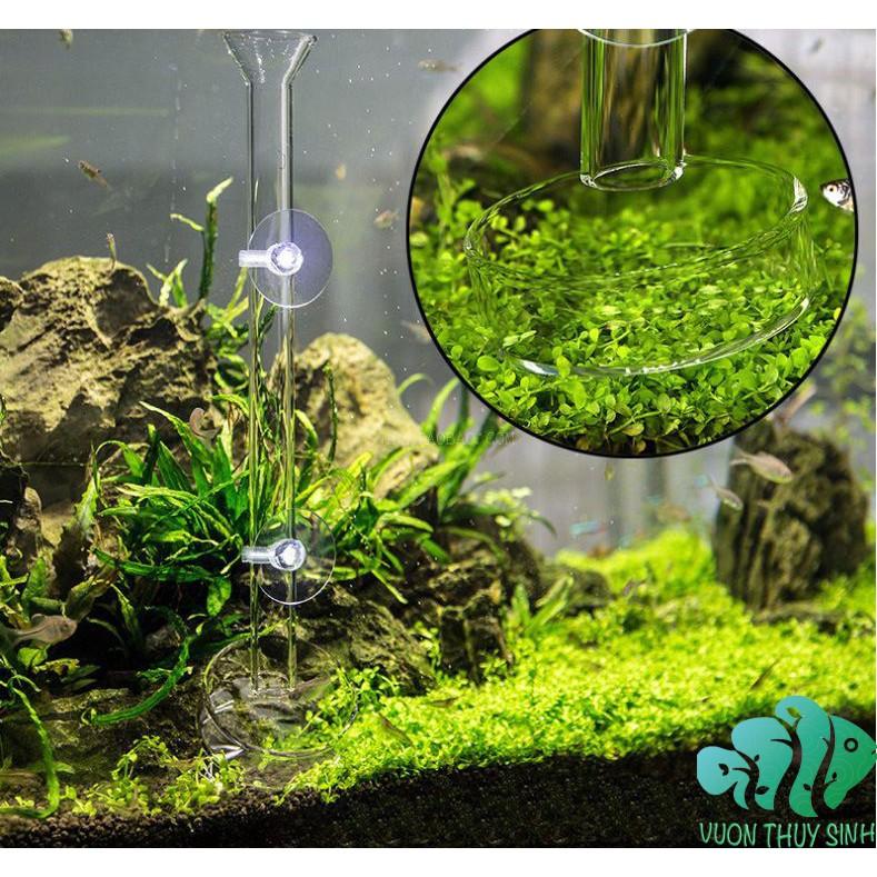 Ống thuỷ tinh cho tép ăn 30 cm