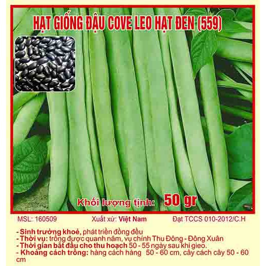 Hạt Giống Đậu Cove Leo Hạt Đen