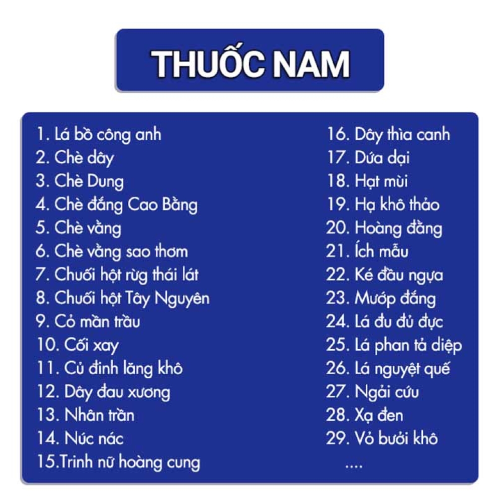 Cà gai leo 1kg, khô, sạch, trà cà gai, giúp mát gan, hạ men gan, thanh nhiệt, giải độc cơ thể
