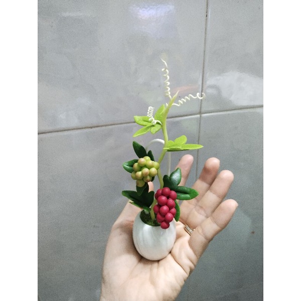 Chậu nho đất sét mini cao 15cm