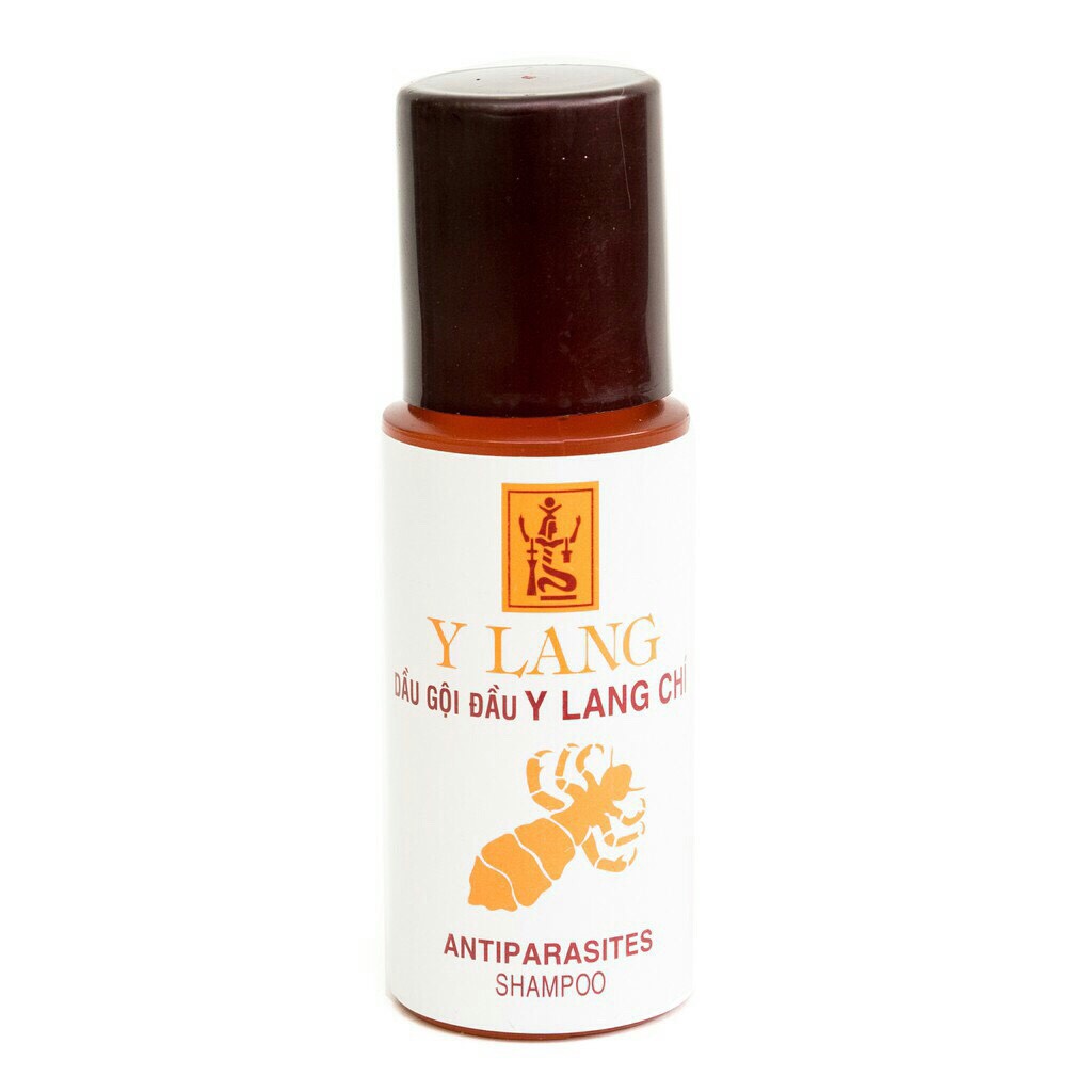Gội chấy ( chí ) Y lang 100ml  + Lược dày chải Chí