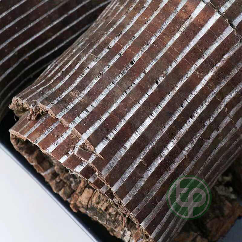 Đỗ trọng khô 1kg - Hàng sạch thơm cao cấp - Thảo Dược Tấn Phát
