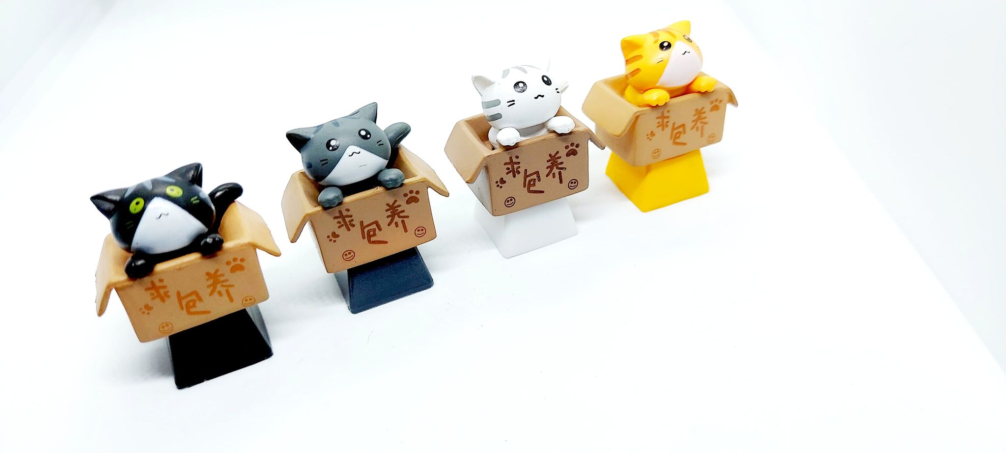 xả lỗ Keycap Cat in box trang trí bàn phím cơ gaming.