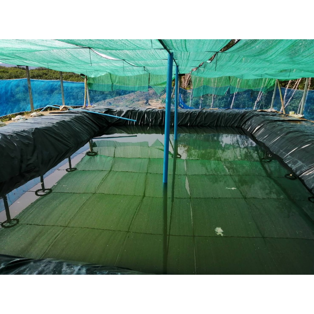 BỂ BẠT HDPE - KT: (3x2x1)m, dày 0.75mm(7.5zem)