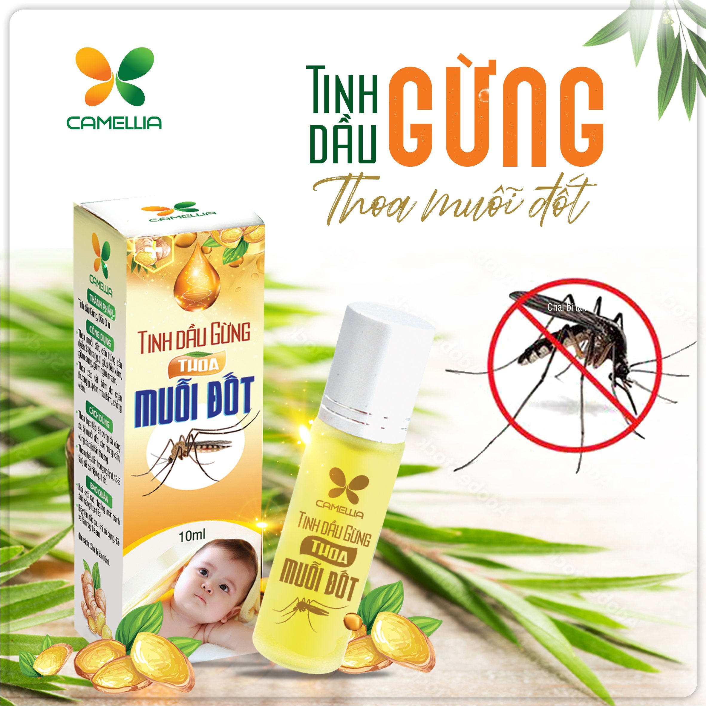 Tinh Dầu Gừng Thoa Muỗi Đốt Cao Cấp