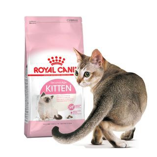 1kg Túi chiết Thức ăn cho mèo con Royal Canin Kitten