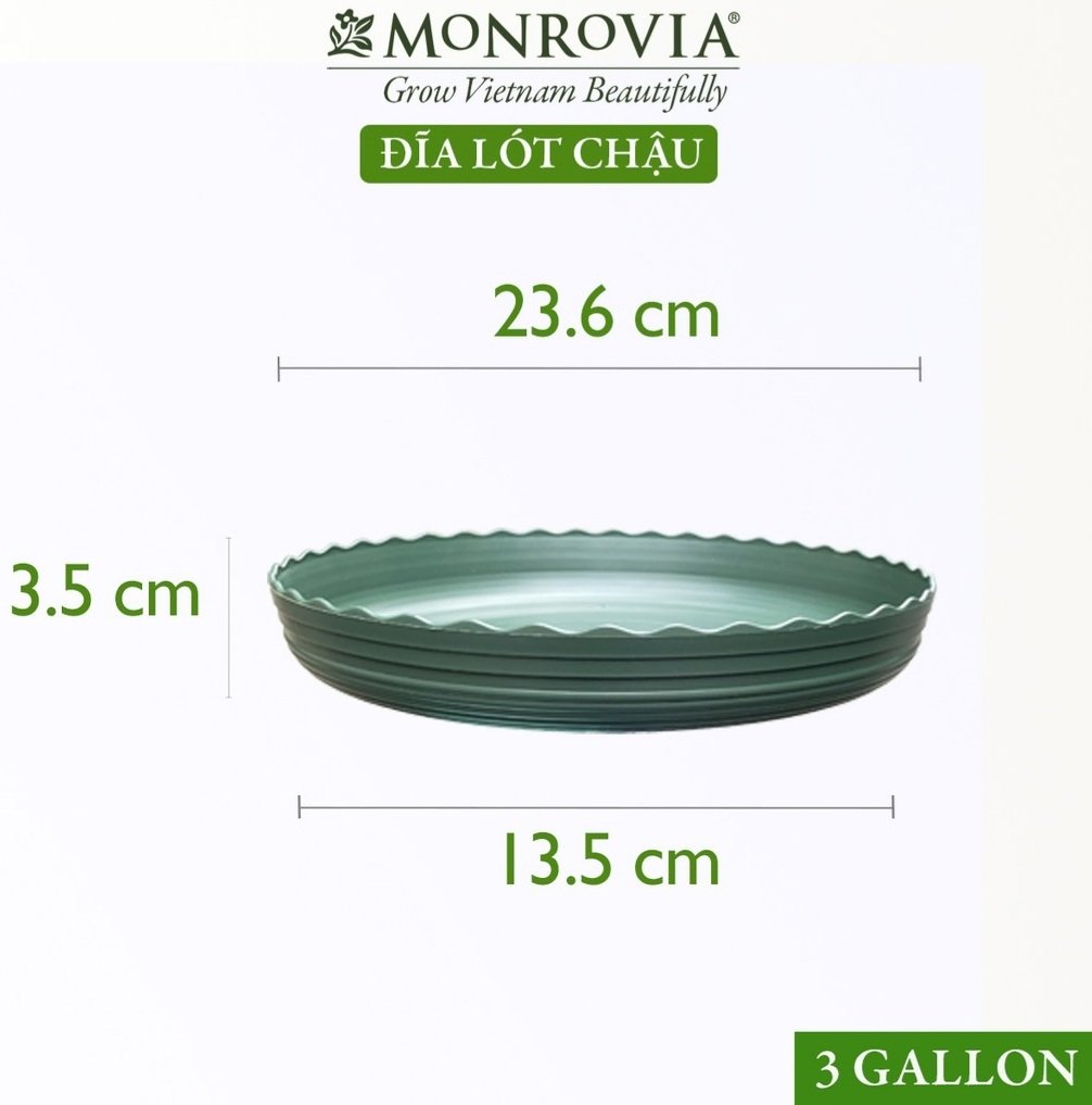 đĩa nhựa chậu Monrovia TQ