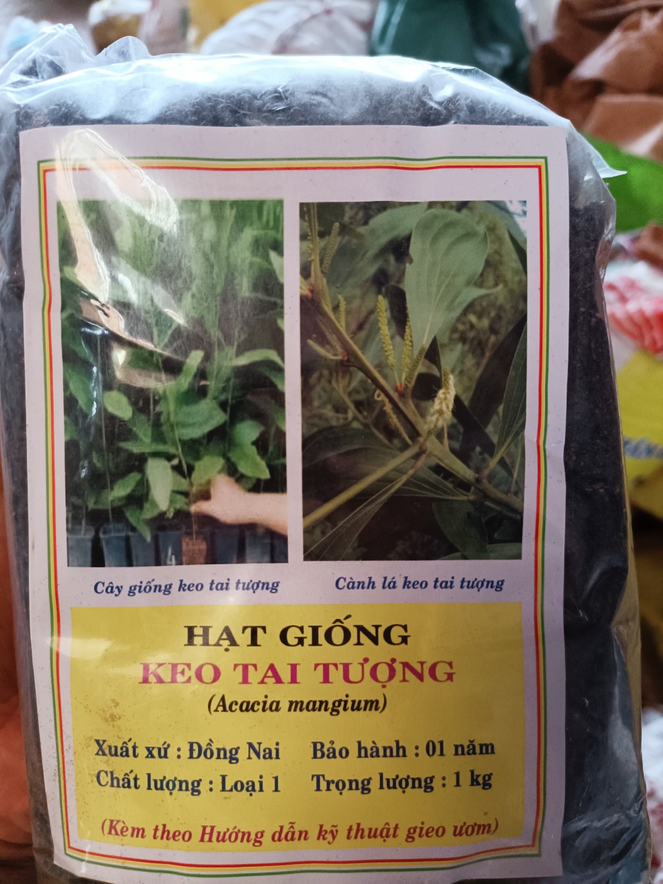1kg hạt keo tai tượng giống