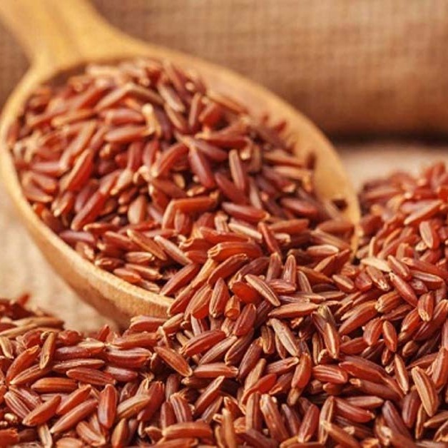 Trà Gạo Lứt Rang Minhtea Túi 1Kg