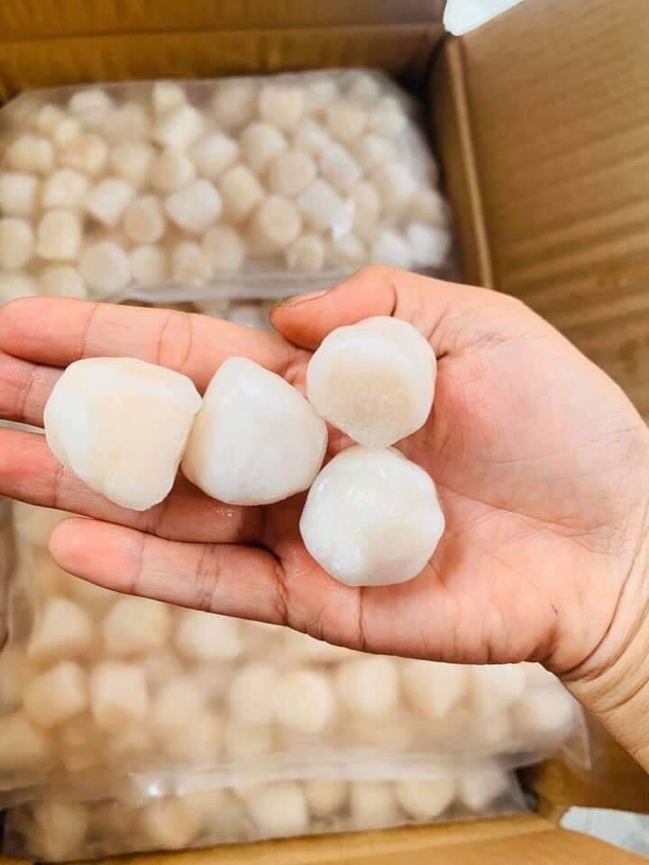 Còi sò điệp nhật size 60-80 - bịch 1kg net 7 (giao tphcm)