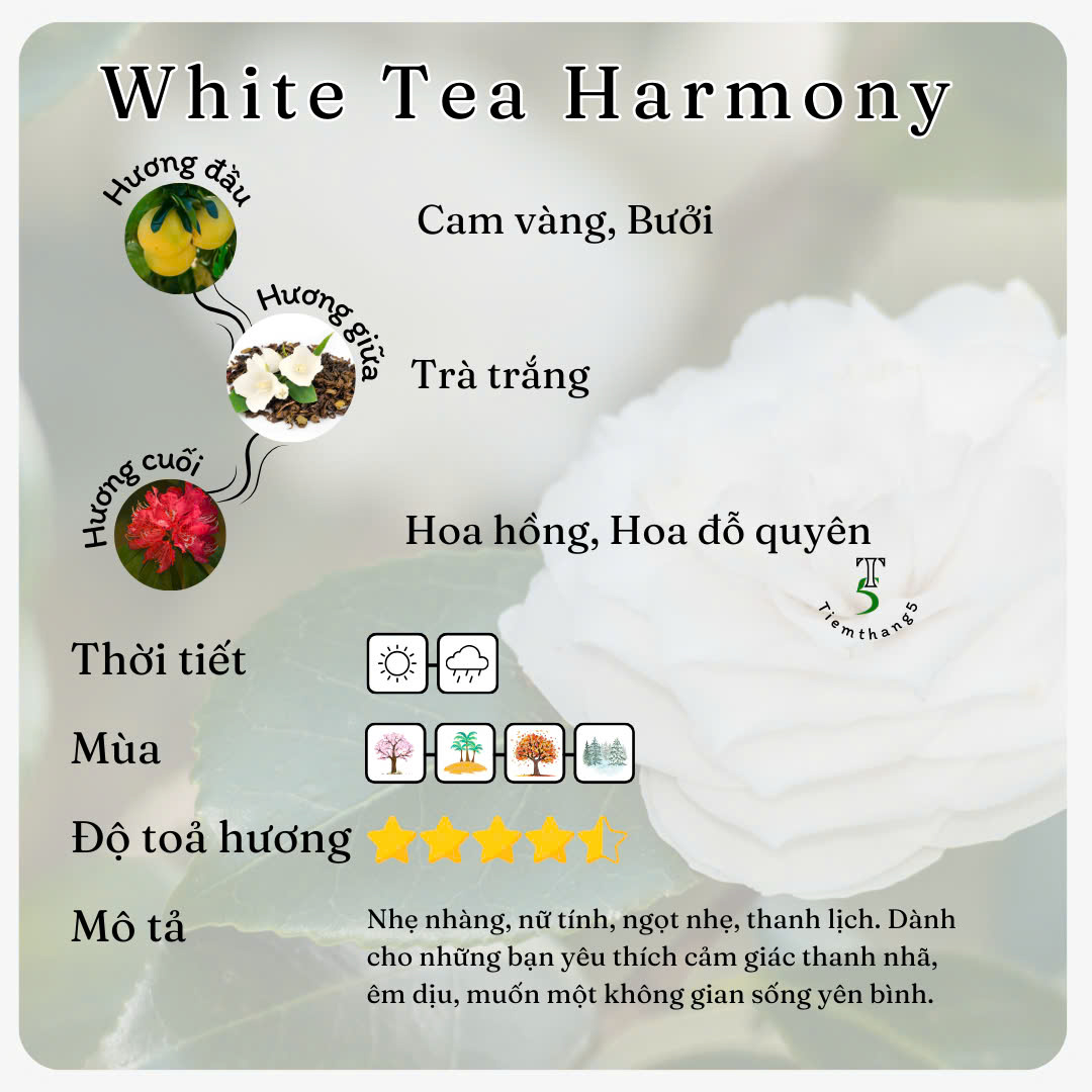 Sáp Treo Phòng Trang Trí Decor Thơm Phòng