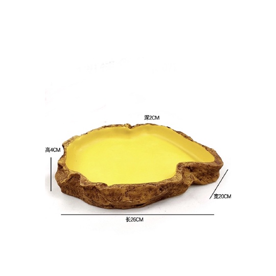 Bát ăn bò sát kiểu cổ đại - Bát ăn bát nước cho bò sát