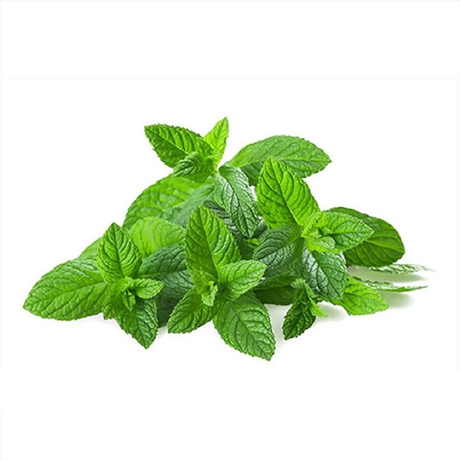 Hạt giống Bạc hà (Menthol) Peppermint Golden Seeds 10 Hạt