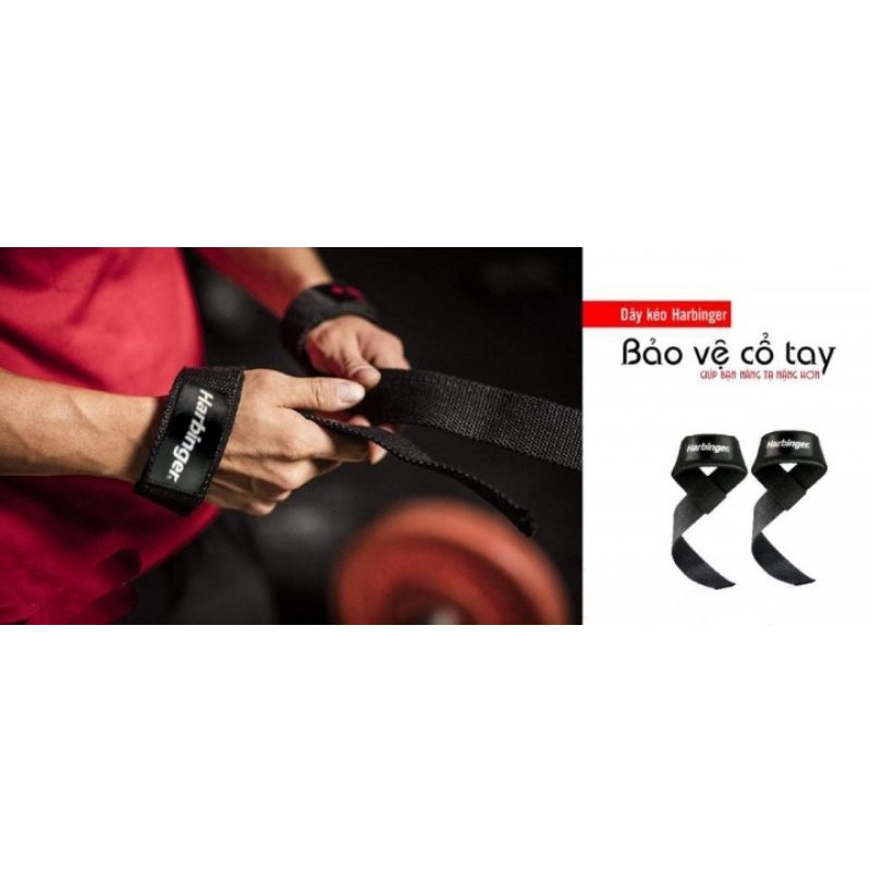 Dây Kéo Lưng Lifting Straps Harbinger chính hãng