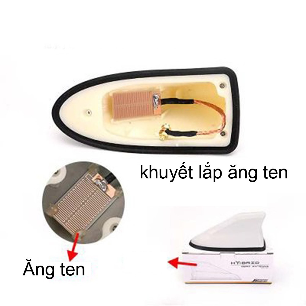 ĂNG TEN VÂY CÁ CHO Ô TÔ, XE HƠI ( 7 màu ).